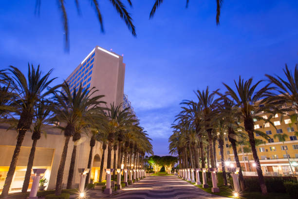 Anaheim digital marketing agency