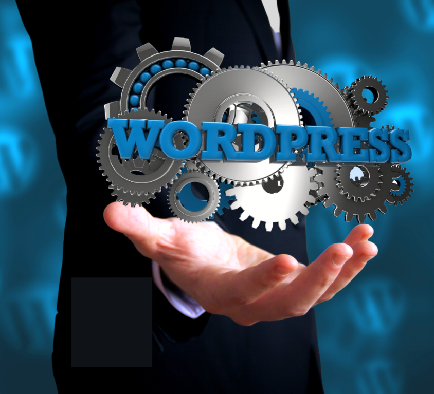 wordpress-the-best-choice-for-seo