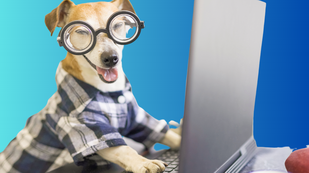 pet-services-digital-marketing