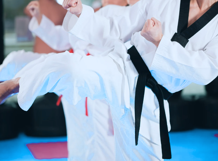 martial-arts-ppc-agency