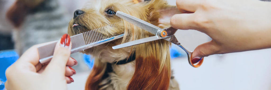 pet-grooming-ppc-agency